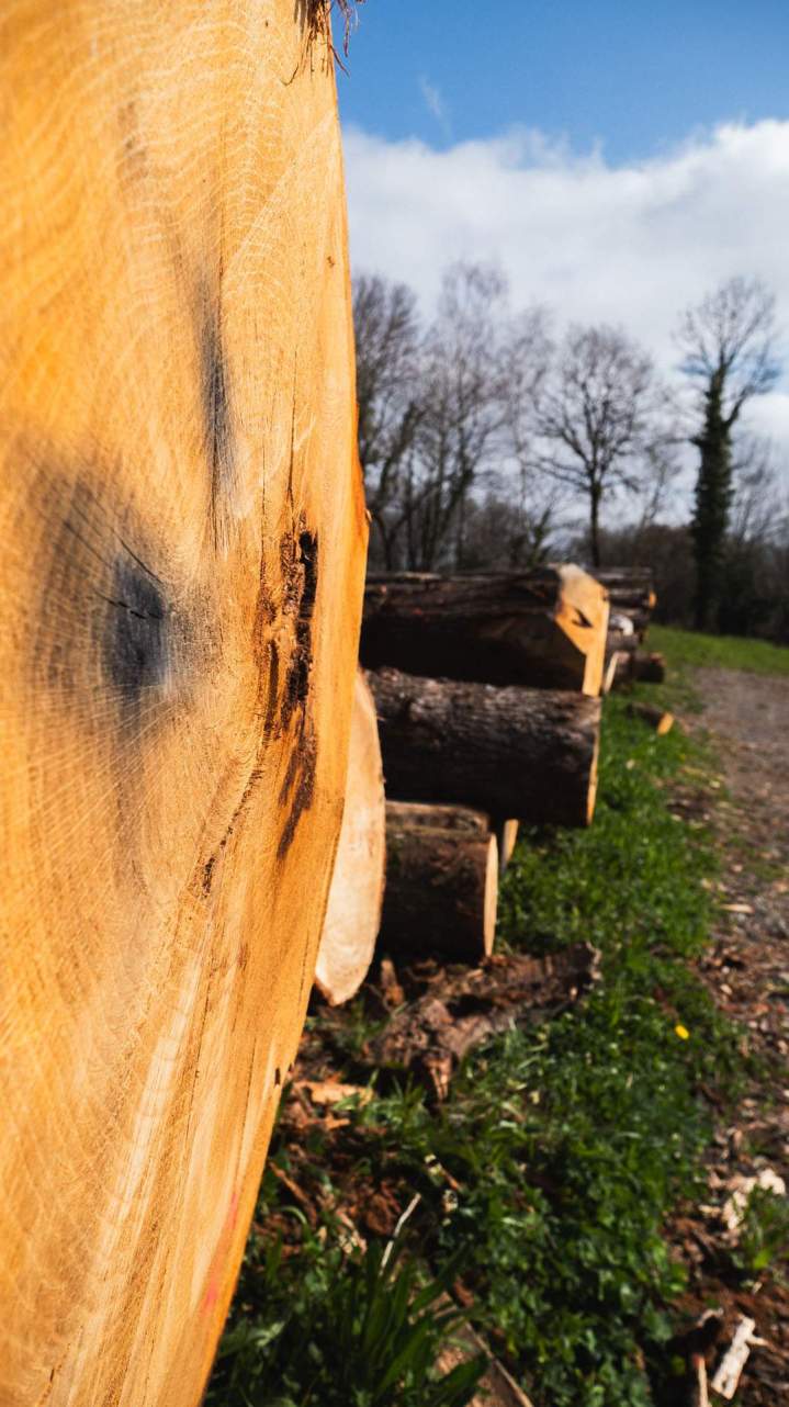 Travaux de débardage Corrèze