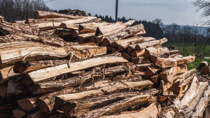 Vente de bois coupé Corrèze