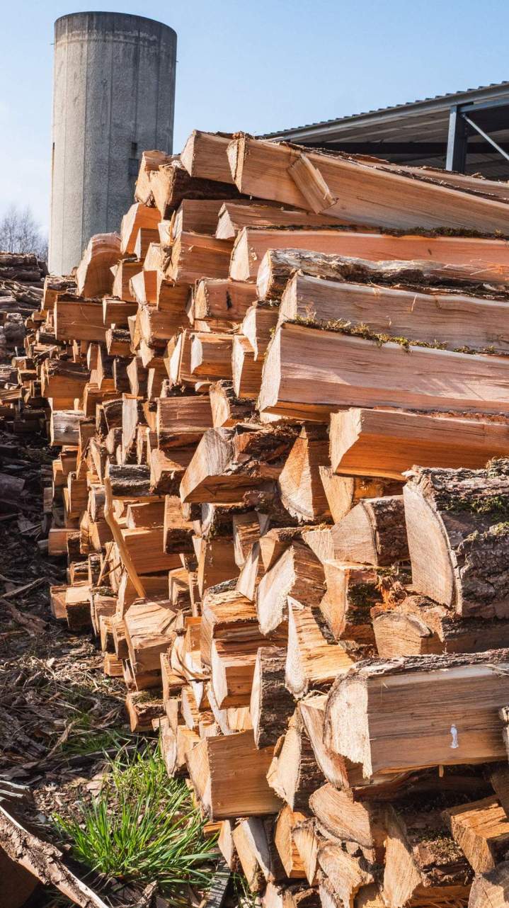 Vente de bois coupé Corrèze