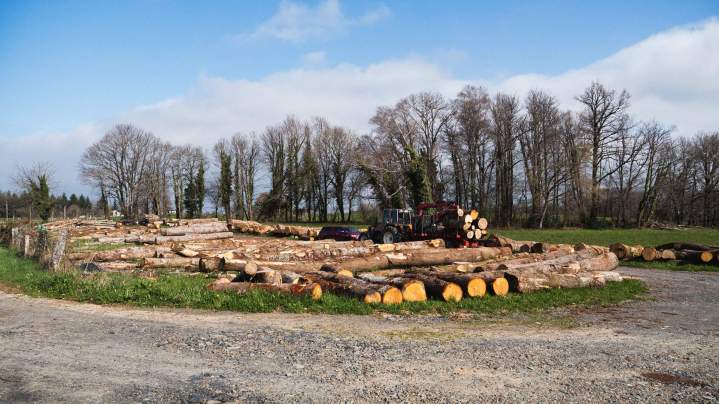 Vente de bois coupé Corrèze