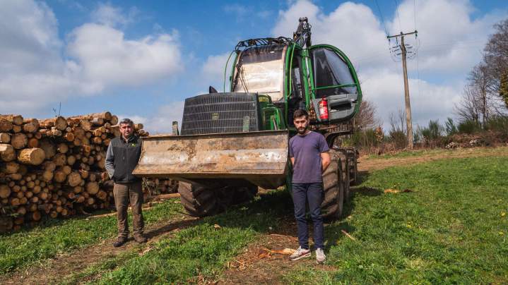 Achat bois sur pied Corrèze