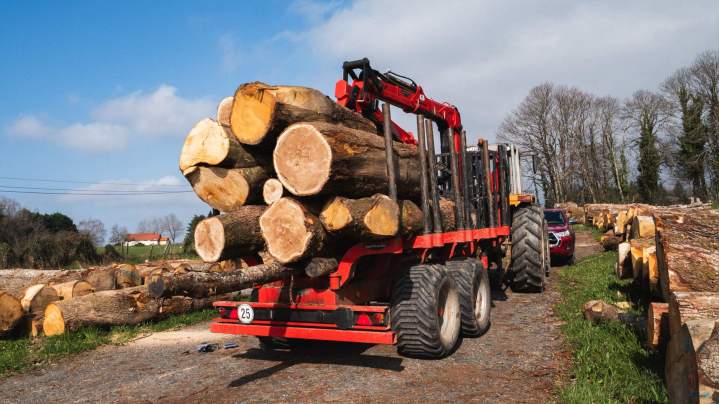 Travaux de débardage Corrèze