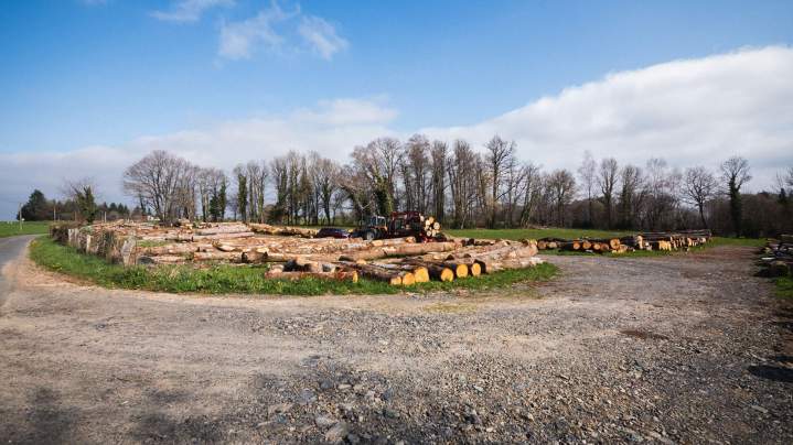 Travaux de sylviculture Corrèze